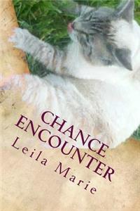 Chance Encounter