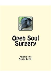 Vol. 5, Open Soul Surgery, large print edition