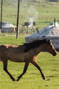 A Beautiful Horse Crossing a Field Journal