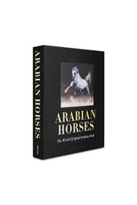 Arabian Horses