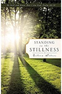 Standing In The Stillness