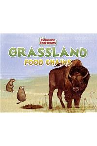 Grassland Food Chains