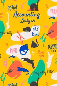 Accounting Ledger