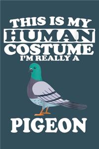 This is my human costume i am really a pigeon