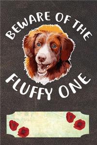 Beware Of The Fluffy One