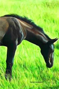 Horse Notebook