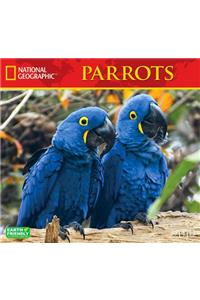 Cal 2019 National Geographic Parrots