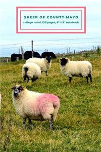 Sheep of County Mayo College Ruled Notebook: 6 X 9 Notebook with 120 Pages