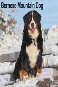 Bernese Mountain Dog 2023 Wall Calendar