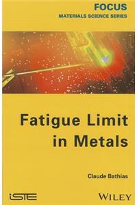 Fatigue Limit in Metals