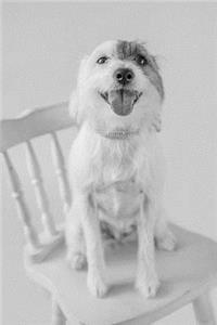 Dog on Chair Notebook