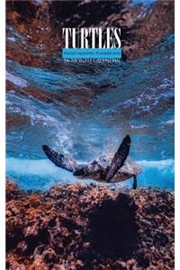 Turtles Pocket Monthly Planner 2018