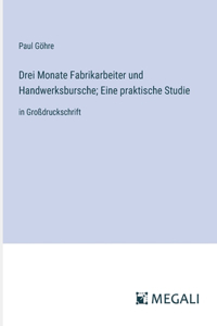 Drei Monate Fabrikarbeiter und Handwerksbursche; Eine praktische Studie