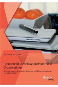 Brennpunkt Identifikationsfaktoren in Organisationen