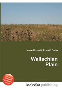 Wallachian Plain