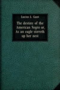 destiny of the American Negro