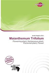 Maianthemum Trifolium