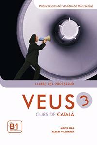 Veus/Curs de Catala: Llibre del professor 3