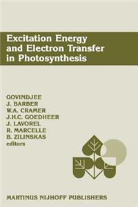 Excitation Energy and Electron Transfer in Photosynthesis