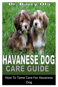 Havanese Dog Care Guide