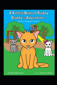 kitten Named Buddy