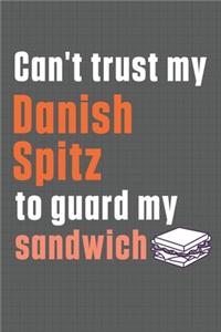 Can't trust my Danish Spitz to guard my sandwich