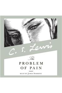 The Problem of Pain