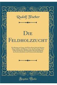 Die Feldholzzucht: Ein Beitrag Zur Frage; Auf Weise Kann Sich Der Besitzer Eines Groï¿½en Oder Kleinen Gutes Das Benothigte Holz Felbst Produciren; Mit Besondere Bersichstchtigung Der Korbweidenkultur Und Eichenschalwaldanlagen (Classic Reprint)