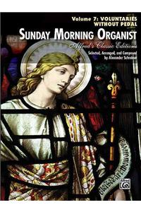 Sunday Morning Organist, Volume 7