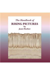 The Handbook of Rising Pictures