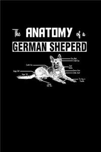 The Anatomy of a German Shepherd