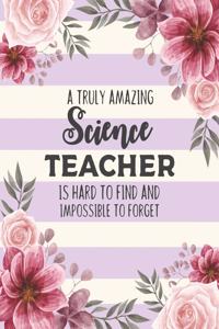 A Truly Amazing Science Teacher Is Hard To Find And Impossible To Forget
