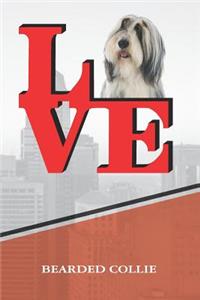 Bearded Collie