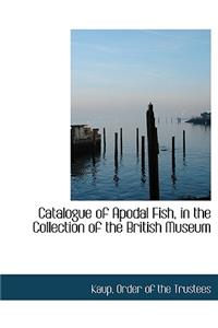 Catalogue of Apodal Fish, in the Collection of the British Museum