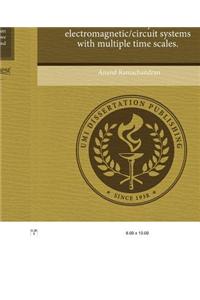 Methodologies for Transient Simulation of Hybrid Electromagnetic/Circuit Systems with Multiple Time Scales.