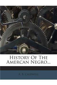 History of the Amercan Negro...