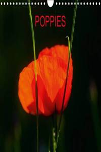 Poppies / UK-Version 2015