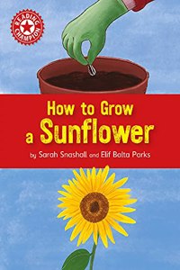 Reading Champion: How to Grow a Sunflower: Independent Reading Non-fiction Red 2