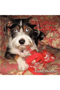 The Adventures of Celtic