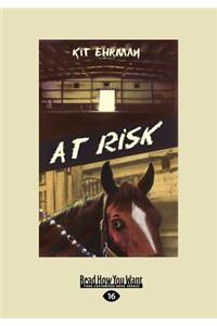 At Risk (Large Print 16pt)