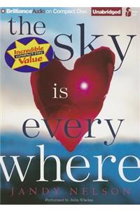 Sky Is Everywhere