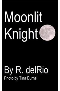 Moonlit Knight