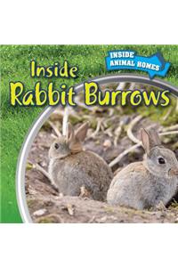 Inside Rabbit Burrows