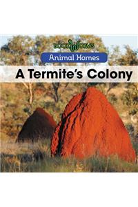 Termite's Colony