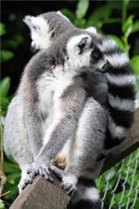 Mind Blowing Lemurs Journal