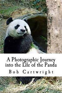 A Photographic Journey into the Life of the Panda