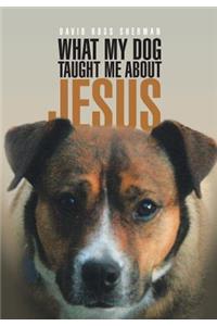 What My Dog Taught Me About Jesus