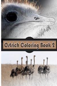 Ostrich