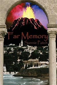 Far Memory