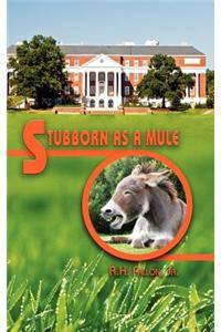 Stubborn as a Mule